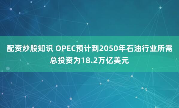 配资炒股知识 OPEC预计到2050年石油行业所需总投资为18.2万亿美元