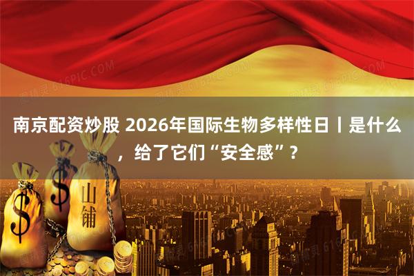 南京配资炒股 2026年国际生物多样性日丨是什么，给了它们“安全感”？
